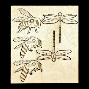 Bees n Dragonflies In